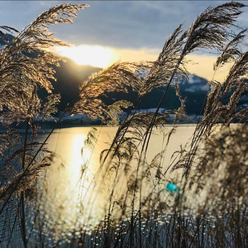 Wolfgangsee Seeblickplatzl 220 - Mit Tollem Seeblick! Strobl Bagian luar foto